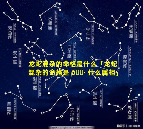 龙蛇混杂的命格是什么「龙蛇混杂的命格是 🕷 什么属相」